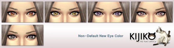  Kijiko: New Eye Color and Eyeliner