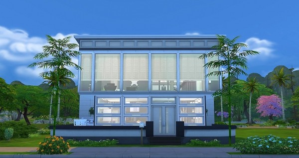  Ihelen Sims: Black and White modern small house by Dolkin