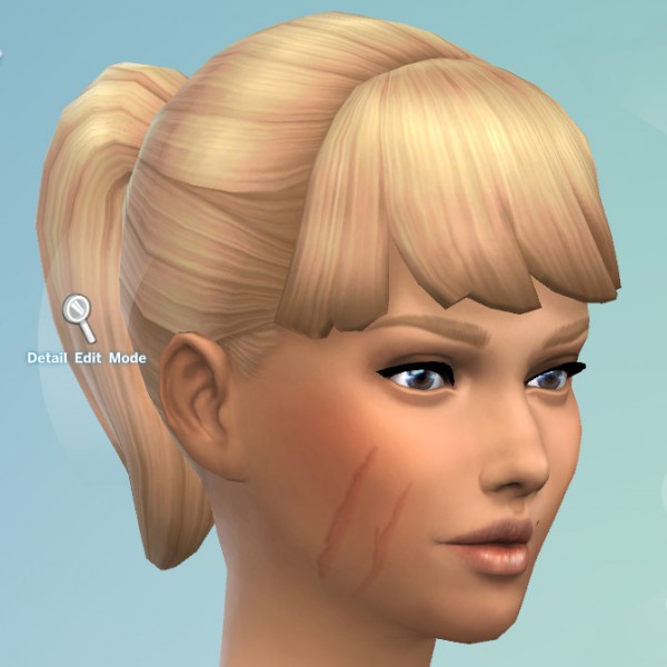  Mod The Sims: Facial Scars by KisaFayd