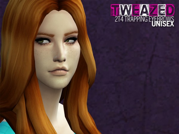  The Path Of Nevermore: Simblreen 2014: TS4 Gifts