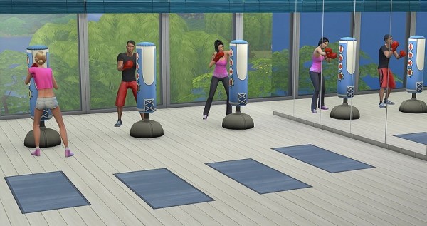  Ihelen Sims: С Fitness by Dolkin