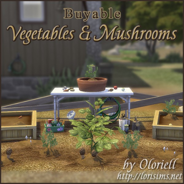  Lori Sims: Vegetables & Mushrooms
