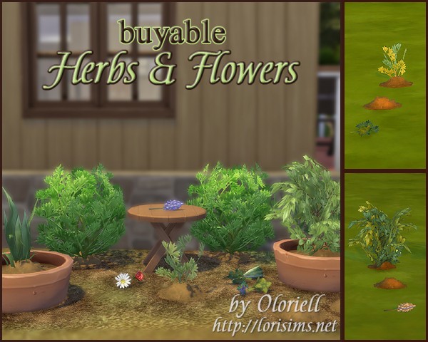  Mod The Sims: Buyable Functional Maxis Herbs & Flowers (7 plants) by Oloriell