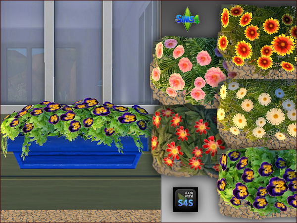  Arte Della Vita: 4 different colored plant pots with 5 different flowers