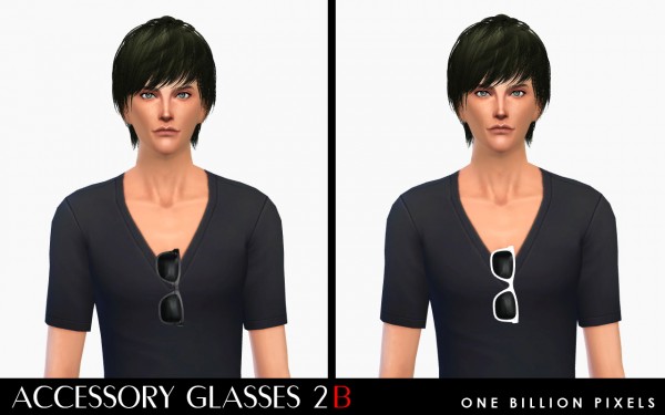  One Billion Pixels: Accessory Glasses 2