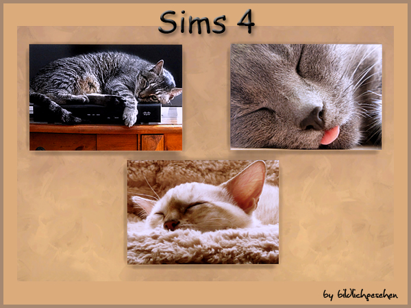  Akisima Sims Blog: Cats paintings