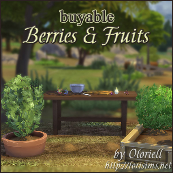  Lori Sims: Berries & Fruits