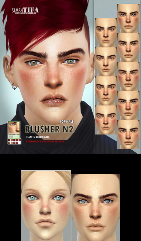  Tifa Sims: Blusher N2