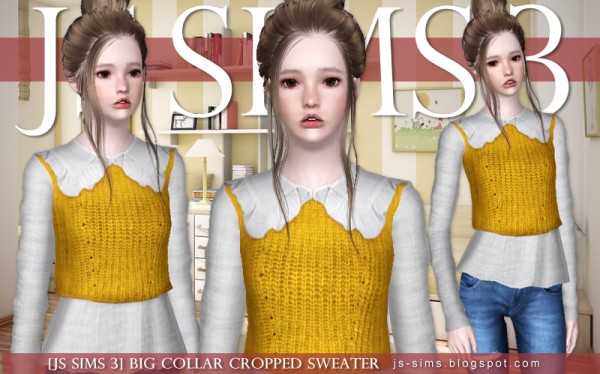  JS Sims 4: Big Collar Cropped Sweater