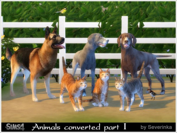  Sims by Severinka: Animals converted part I