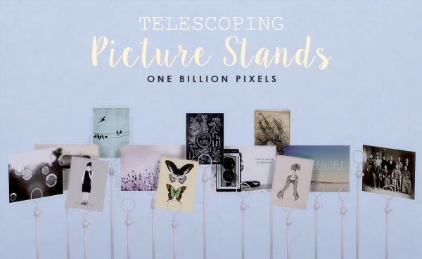  One Billion Pixels: Telescoping Picture Stands