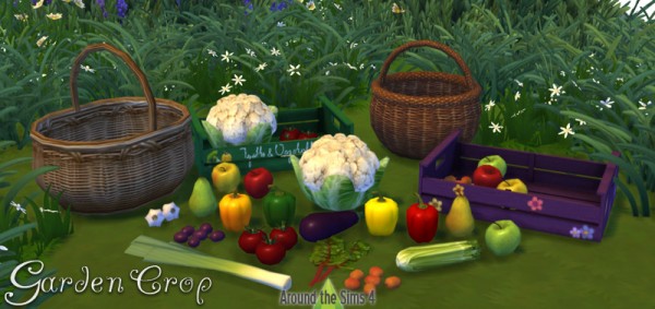  Around The Sims 4: Garden Crop