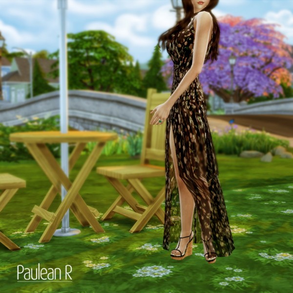  Paluean R Sims: Chiffon Long Dress