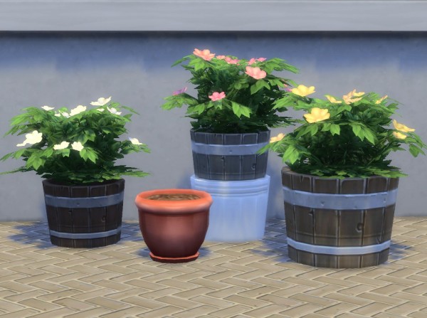 Mod The Sims: Modular Plants V by plasticbox