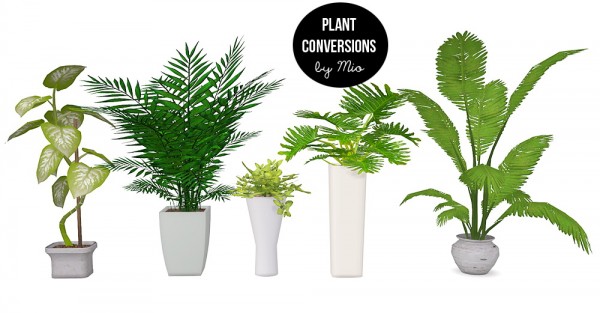  Mio Sims: Plant conversions II