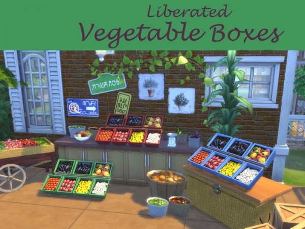  Leander Belgraves: Liberated Vegetable Boxes