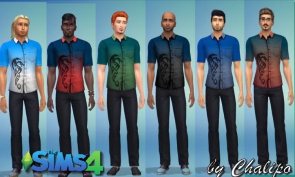 All4Sims: Outfit by Chalipo