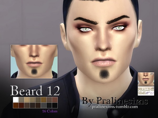  The Sims Resource: Beard Megapack~ 15 Beards by Pralinesims