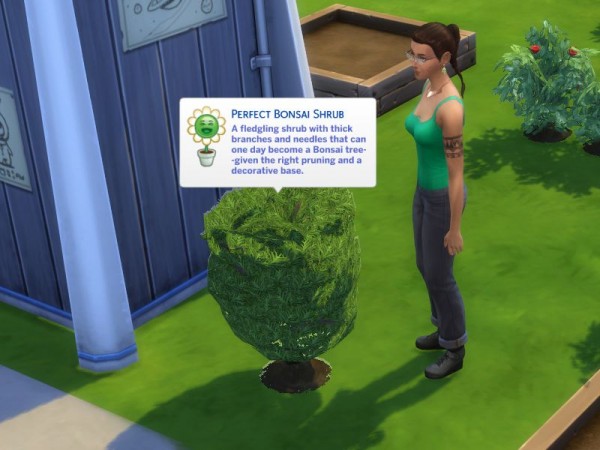  Mod The Sims: Bonsai Convert to Decorative fix by DarkWalker