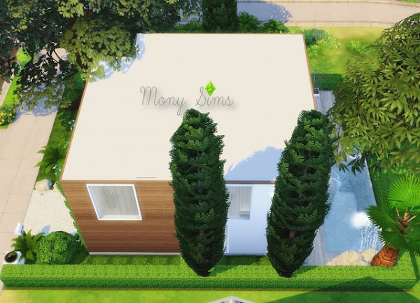  Mony Sims: Small Fancy House