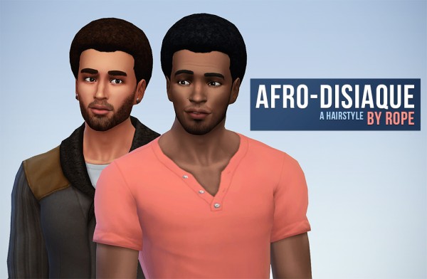  Simsontherope: Afro disiaque new hair