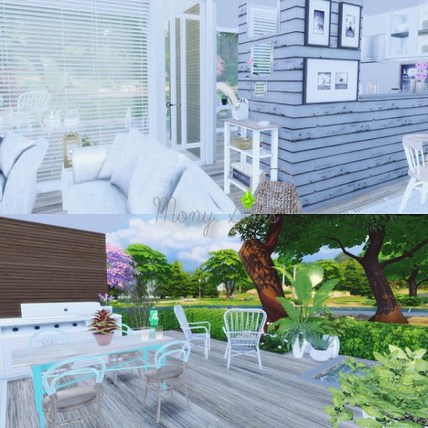  Mony Sims: Small Fancy House