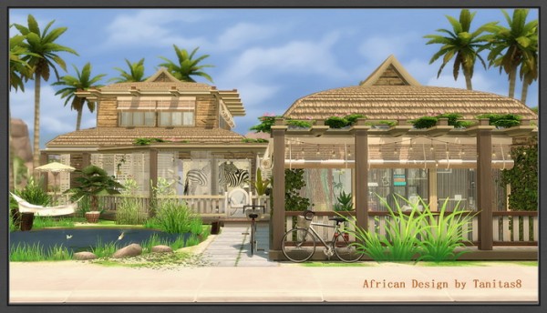  Tanitas Sims: African Design