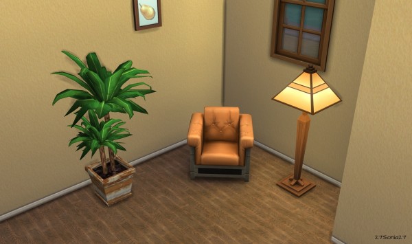  27Sonia27: 2 Indoor Plants