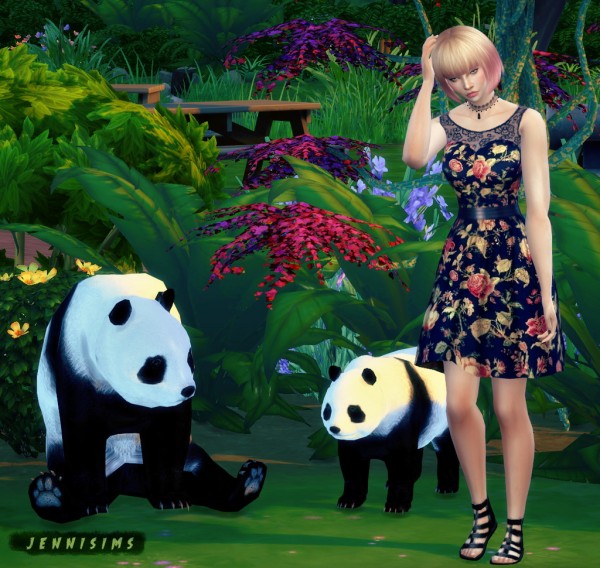  Jenni Sims: Decoration Bears pandas, Gnome, Owl