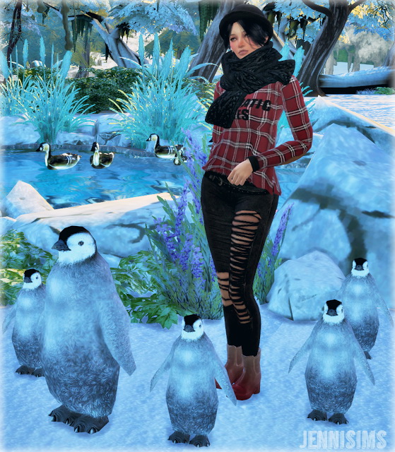  Jenni Sims: Penguin Decorative