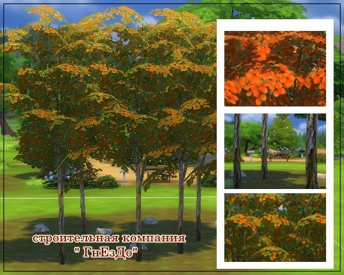  Sims by Severinka: Trees with autumn leaves