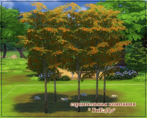  Sims by Severinka: Trees with autumn leaves