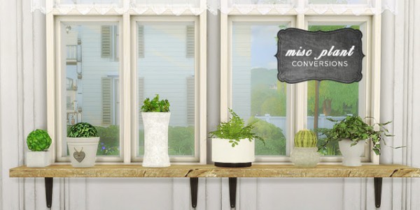  Mio Sims: Plant conversion