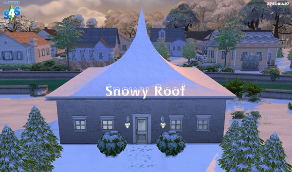  27Sonia27: Snowy Roof