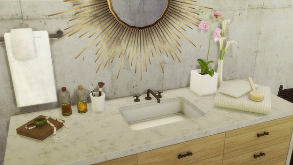  Mio Sims: Bathroom conversion