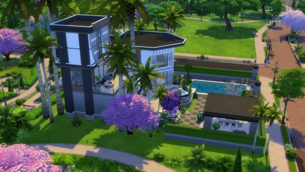  Studio Sims Creation: Amazone house