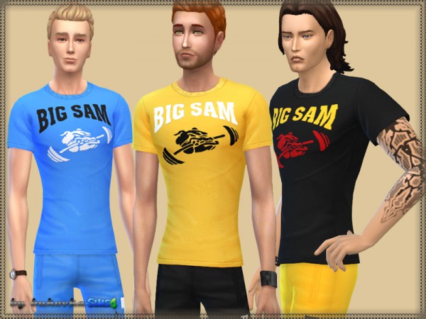  The Sims Resource: Set Big Sam by Bukovka