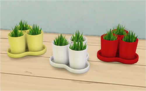  Veranka: 3 Plant Pots with 1 Tray