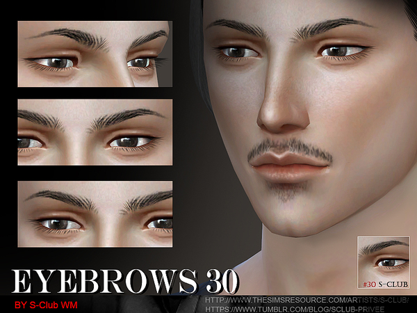  The Sims Resource: Eyebrows 30 M by S Club