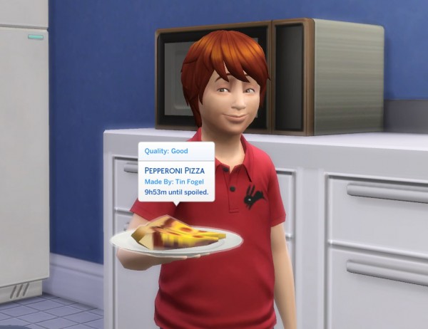  Mod The Sims: Microwave Pizza by plasticbox