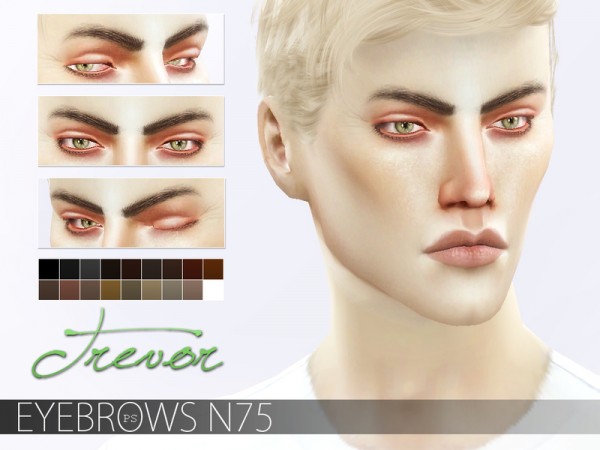  The Sims Resource: Eyebrow Bundle N10 by Pralinesims