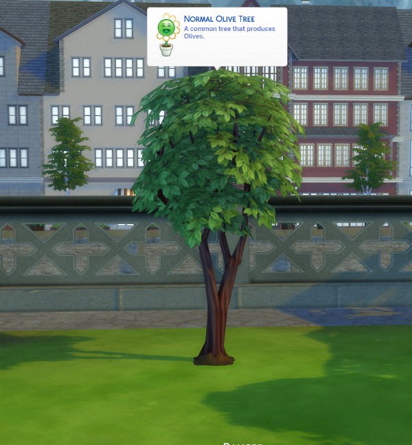  Mod The Sims: Harvestable Olive Tree by icemunmun