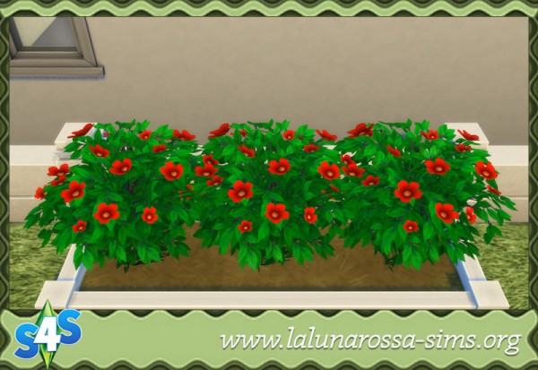  La Luna Rossa Sims: Passion’s Kiss flowers