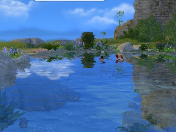  Mod The Sims: My MORE NATURAL Natural Pool for Windenburg’s Bluff Island by SimLaReine