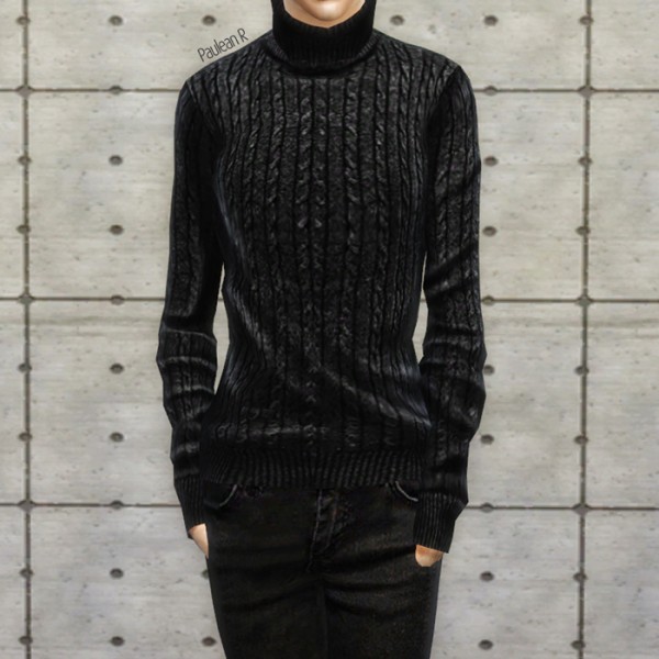  Paluean R Sims: Tight High Neck Sweater