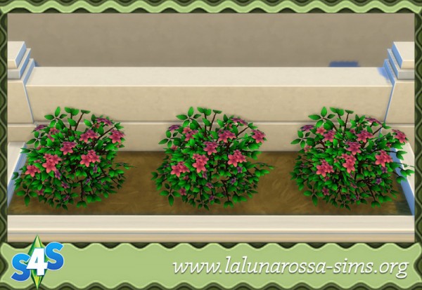  La Luna Rossa Sims: Pink Azalea Flowers