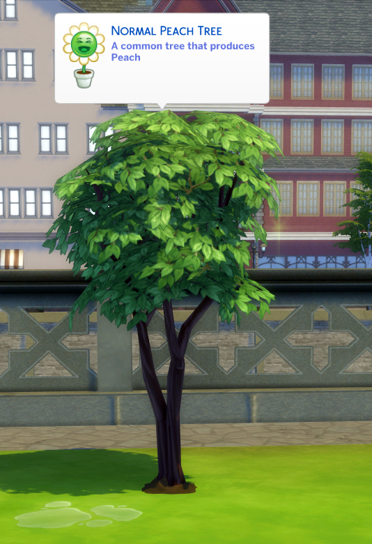  Mod The Sims: Harvestable Peach Tree by icemunmun