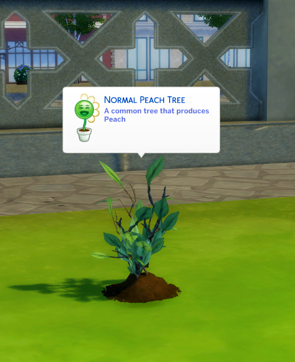  Mod The Sims: Harvestable Peach Tree by icemunmun