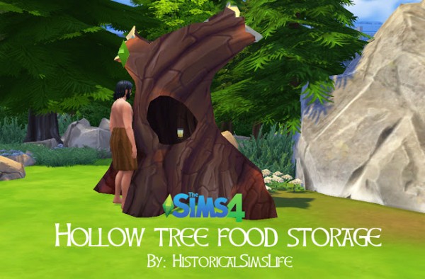  History Lovers Sims Blog: Hollow Tree as a Food Storage
