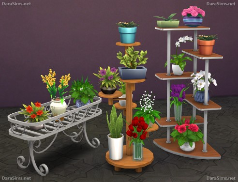 Dara Sims: Flower stands